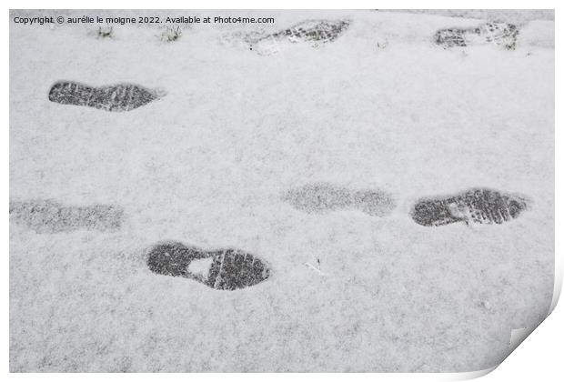 Footprints on snow Print by aurélie le moigne