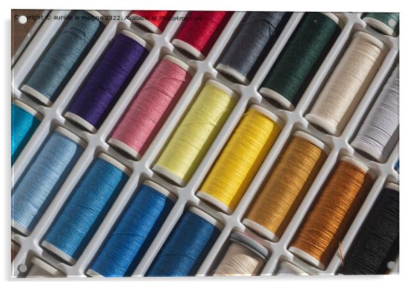 Multicolored sewing threads Acrylic by aurélie le moigne