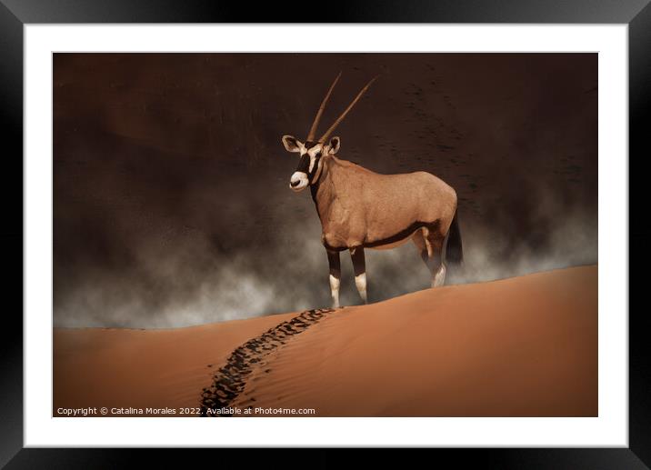 Oryx in the morning mist  Framed Mounted Print by Catalina Morales