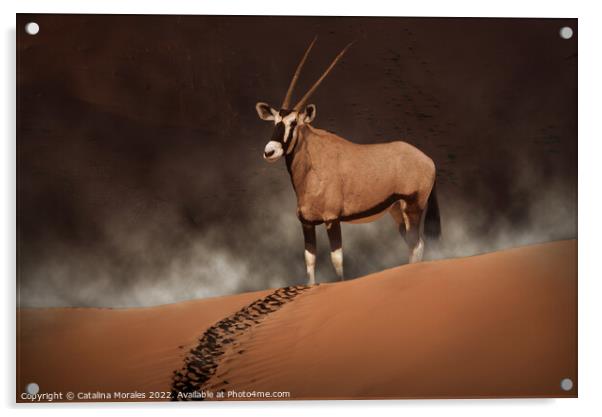 Oryx in the morning mist  Acrylic by Catalina Morales