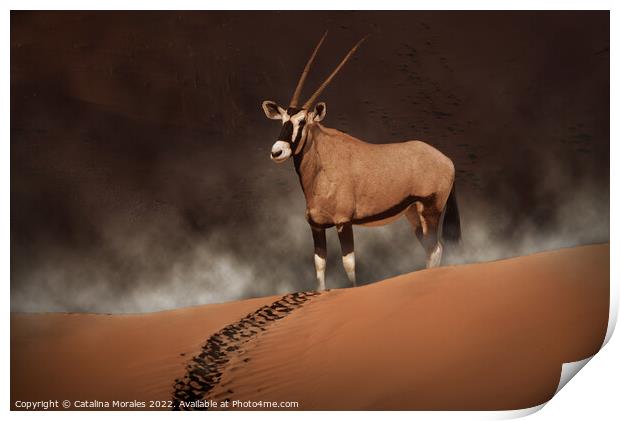 Oryx in the morning mist  Print by Catalina Morales