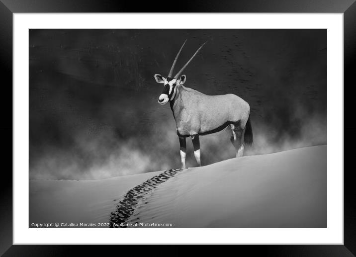 Oryx in the morning mist monochrome Framed Mounted Print by Catalina Morales