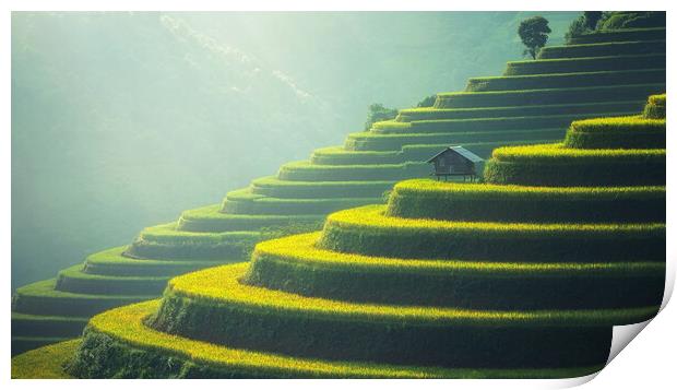 Rice Fields of Vietnam Print by Elizabeth Hudson