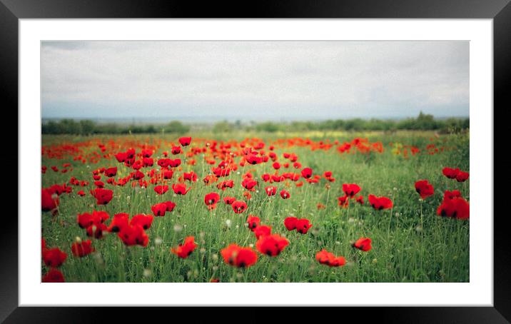 Poppy Fields Framed Mounted Print by Elizabeth Hudson