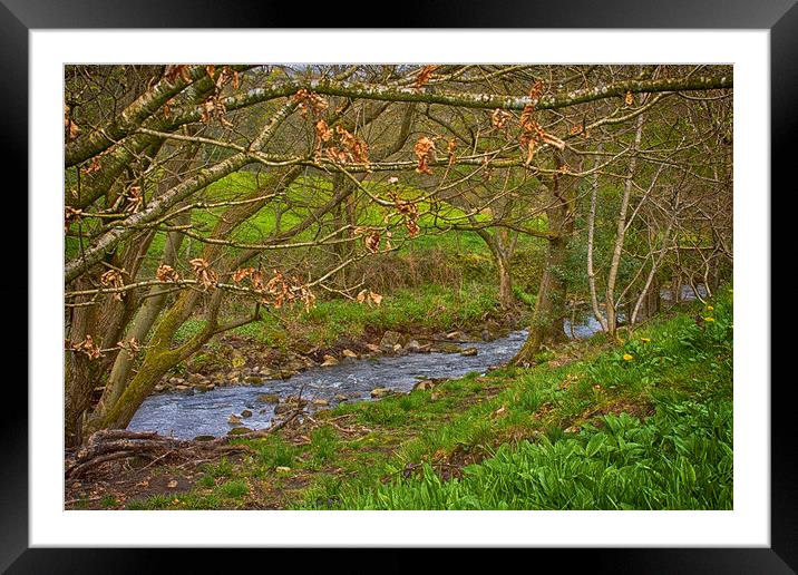Scenes from Yorkshire 02 Framed Mounted Print by Glen Allen