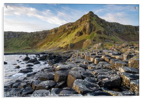 Giant's Causeway Acrylic by Storyography Photography