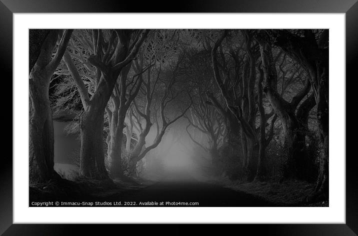 The Dark Hedges at Night Framed Mounted Print by Storyography Photography