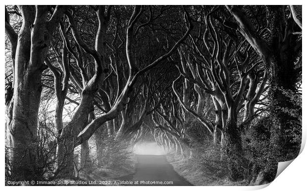 The Dark Road Print by Storyography Photography