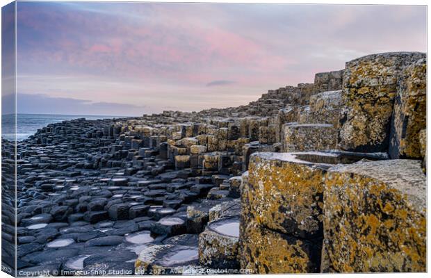 Overlooking the Giant's Causeway Canvas Print by Storyography Photography
