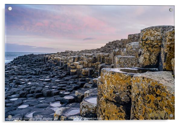 Overlooking the Giant's Causeway Acrylic by Storyography Photography