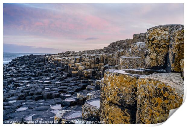 Overlooking the Giant's Causeway Print by Storyography Photography