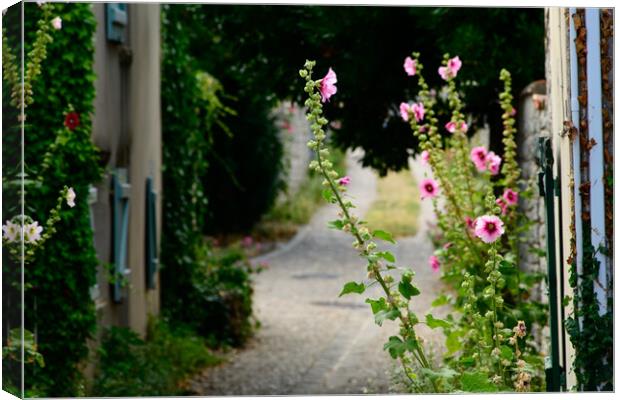 small alley with hollyhock Canvas Print by youri Mahieu