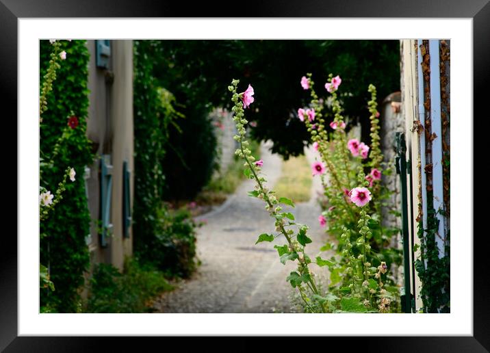 small alley with hollyhock Framed Mounted Print by youri Mahieu