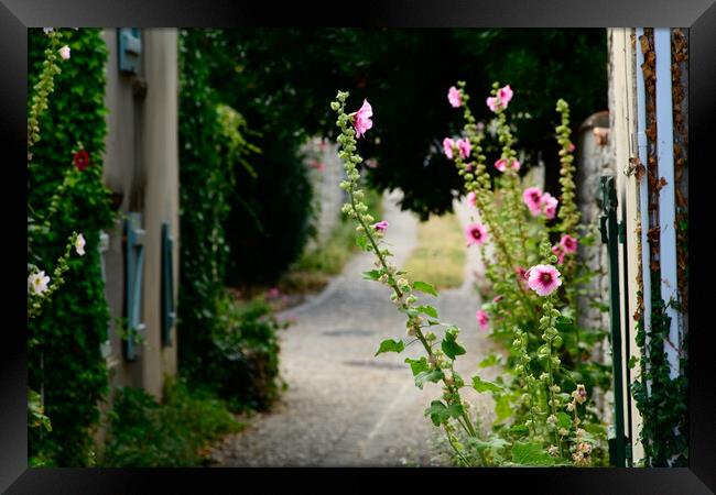 small alley with hollyhock Framed Print by youri Mahieu