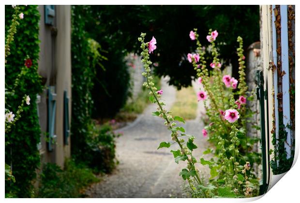 small alley with hollyhock Print by youri Mahieu