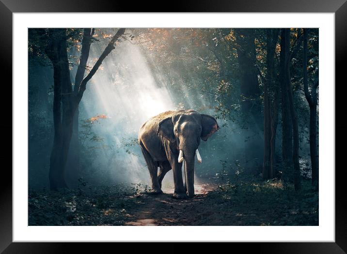 Sun beaming down on an Elephant Framed Mounted Print by Elizabeth Hudson