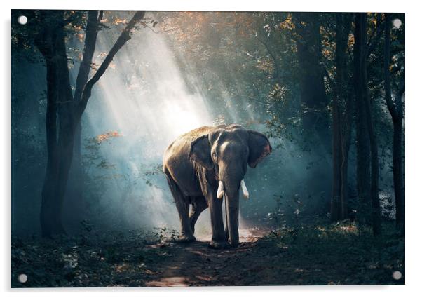 Sun beaming down on an Elephant Acrylic by Elizabeth Hudson