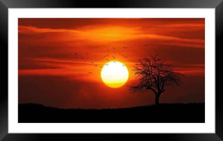 Flock of birds during Sunset Framed Mounted Print by Elizabeth Hudson