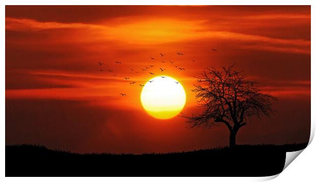 Flock of birds during Sunset Print by Elizabeth Hudson