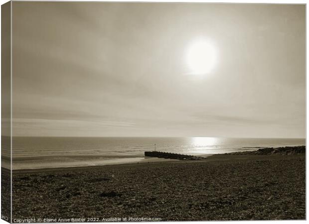 Sunlit Beach Canvas Print by Elaine Anne Baxter