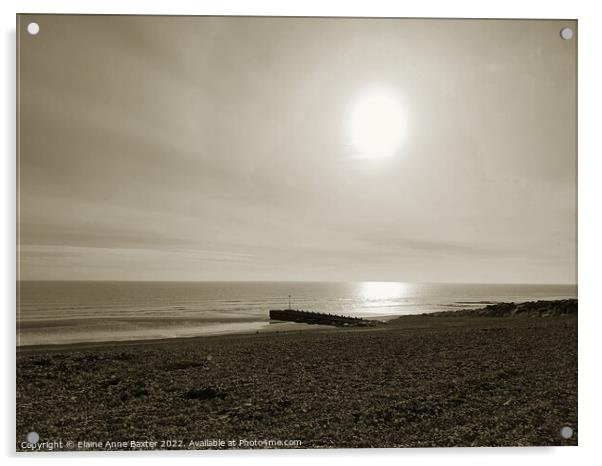 Sunlit Beach Acrylic by Elaine Anne Baxter