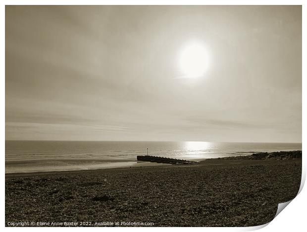 Sunlit Beach Print by Elaine Anne Baxter