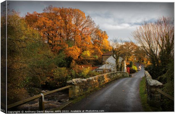 Beck Hole, North Yorkshire with horse and rider Canvas Print by Anthony David Baynes ARPS