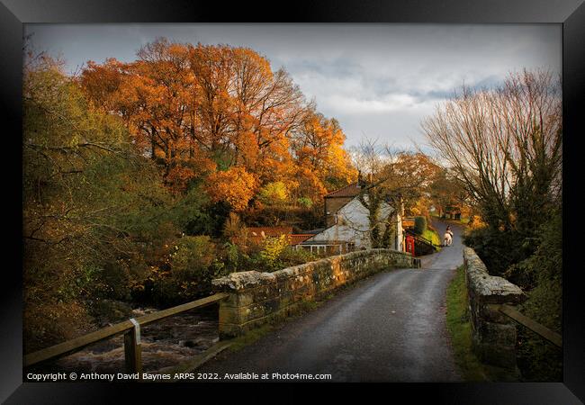 Beck Hole, North Yorkshire with horse and rider Framed Print by Anthony David Baynes ARPS