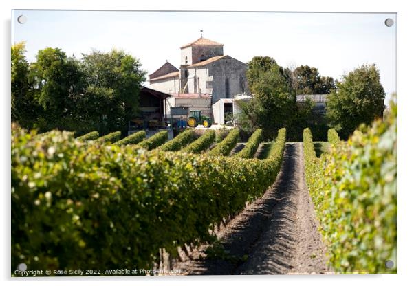 Grape vineyards, Cognac Charente-Maritime France Acrylic by Rose Sicily