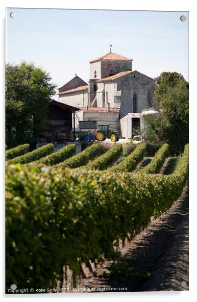 Grape vineyards, Cognac Charente-Maritime France Acrylic by Rose Sicily