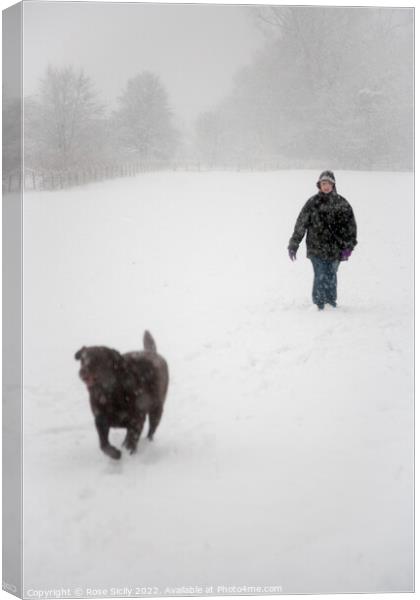 Person walking a dog in winter in snowy fields  Canvas Print by Rose Sicily