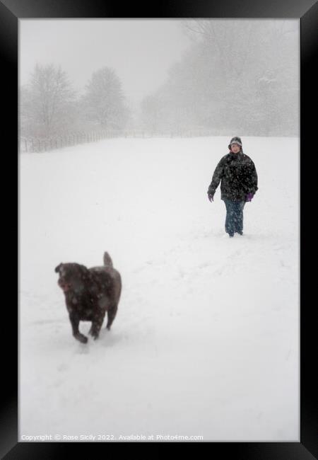 Person walking a dog in winter in snowy fields  Framed Print by Rose Sicily