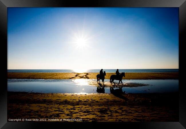 Exercising horses in the sea Framed Print by Rose Sicily
