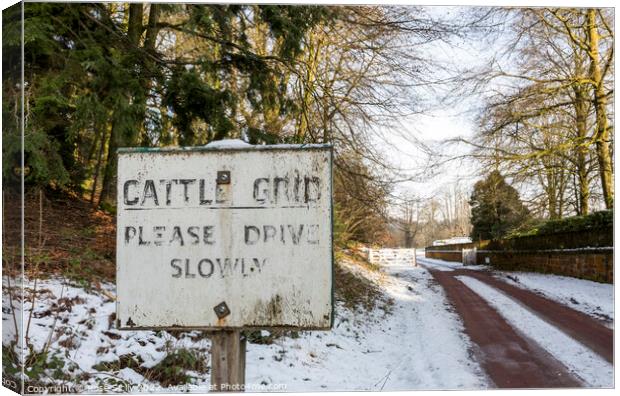 Old style warning sign Cattle grid please drive slowly Canvas Print by Rose Sicily