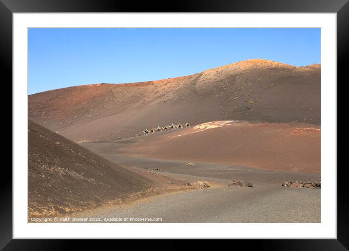 Camel train crossing the Timanfaya National Park, Lanzarote Framed Mounted Print by Keith Bowser
