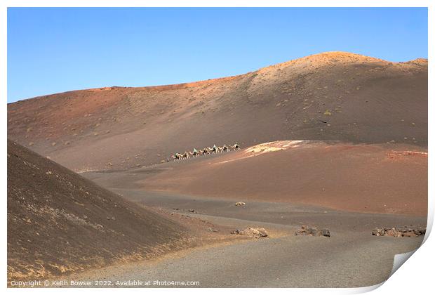 Camel train crossing the Timanfaya National Park, Lanzarote Print by Keith Bowser
