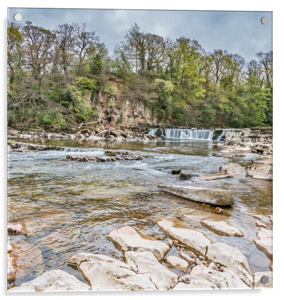 Richmond, North Yorkshire Waterfalls  Acrylic by Richard Laidler