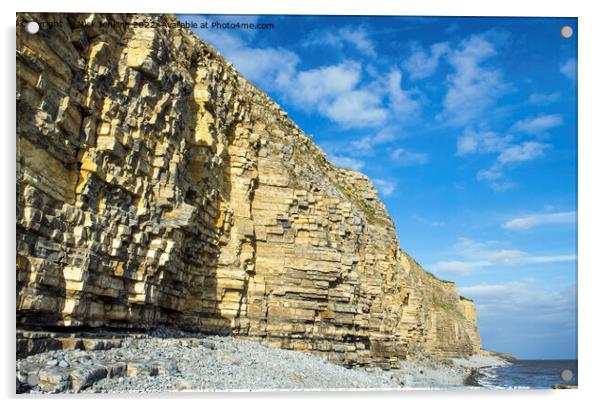 Llantwit Major Cliffs Glamorgan Heritage Coast  Acrylic by Nick Jenkins