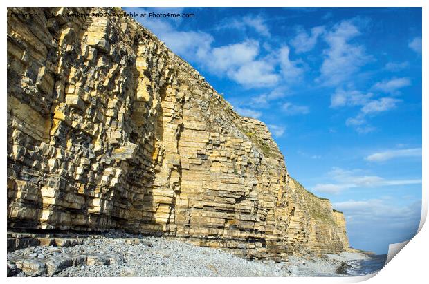 Llantwit Major Cliffs Glamorgan Heritage Coast  Print by Nick Jenkins