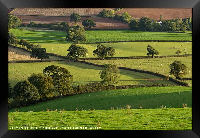 Mid Devon fields Framed Print by Pete Hemington