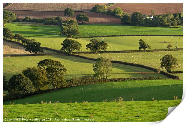 Mid Devon fields Print by Pete Hemington