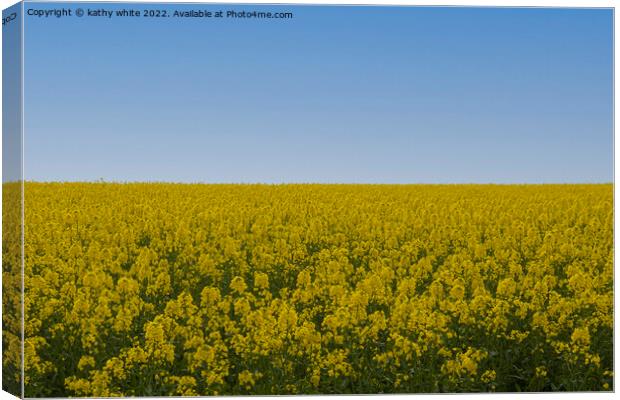 Cornish Rapeseed  with blue sky Canvas Print by kathy white