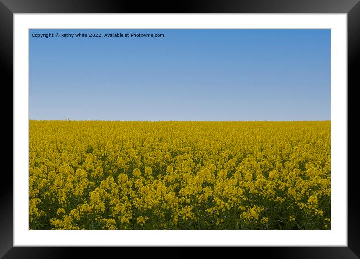 Cornish Rapeseed  with blue sky Framed Mounted Print by kathy white