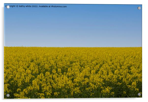 Cornish Rapeseed  with blue sky Acrylic by kathy white