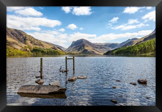 Looking Down Buttermere Framed Print by Roger Green