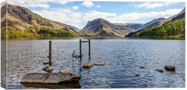 Looking Down Buttermere Canvas Print by Roger Green