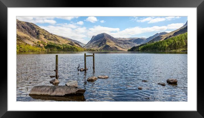 Looking Down Buttermere Framed Mounted Print by Roger Green