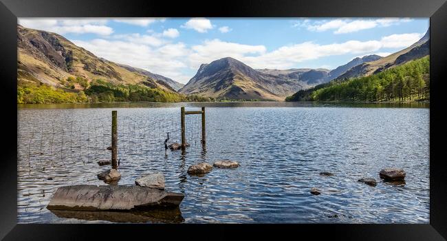 Looking Down Buttermere Framed Print by Roger Green