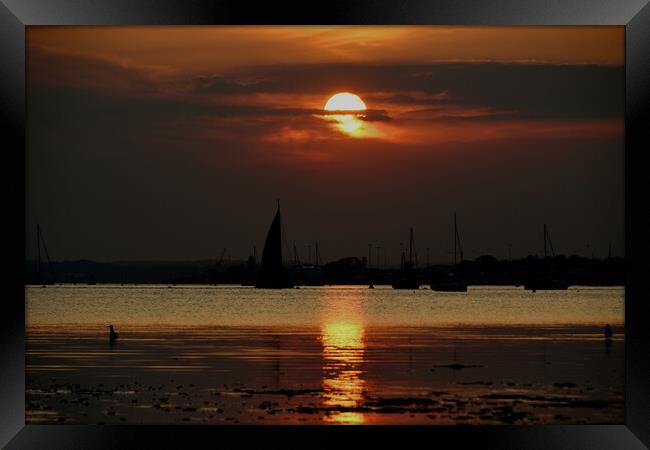 Serene Sunset Sail Framed Print by paul cobb