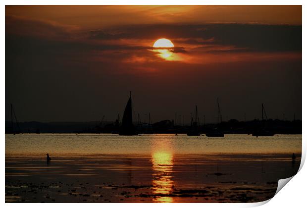 Serene Sunset Sail Print by paul cobb